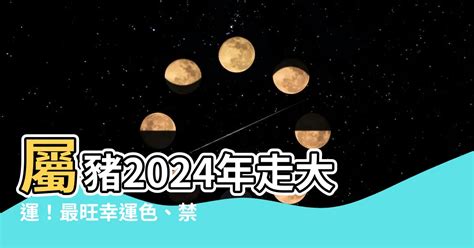 1971豬幸運色2024|2024豬年幸運色速查表